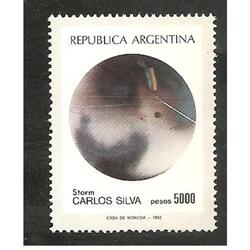 ARGENTINA 1982(1369) PINTURAS ESPAMER 81  MINT