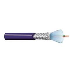 Cable Belden Multiconductor 3079E ISA/SP-50 22AWG FRFPE PVC