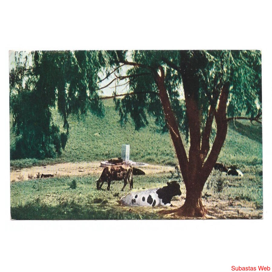 ARGENTINA. Tucumán. Departamento de Tafí. Motivo típico en L