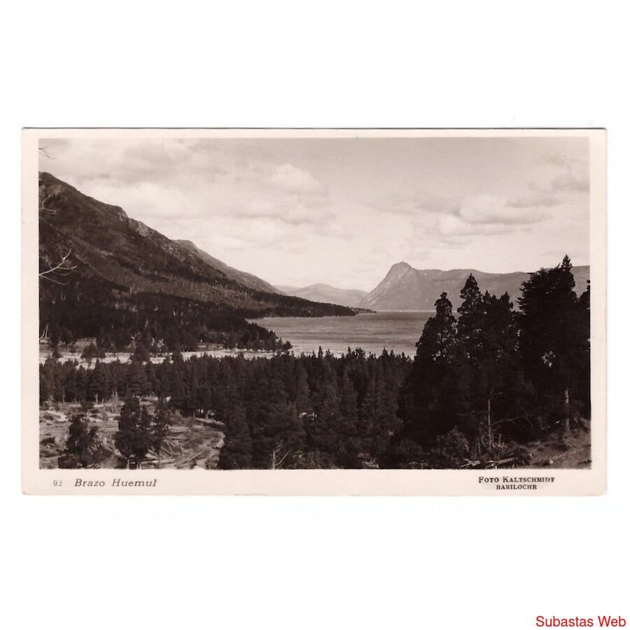 ARGENTINA. Brazo Huemul.