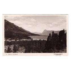 ARGENTINA. Brazo Huemul.