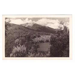 ARGENTINA. Correntoso.