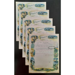 1950 5 ANTIGUOS TELEGRAMAS DE FELICIDAD PARA RECIÉN CASADOS!