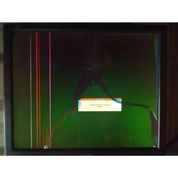 Monitor Philips 190b6 pantalla rota 19 pulgadas